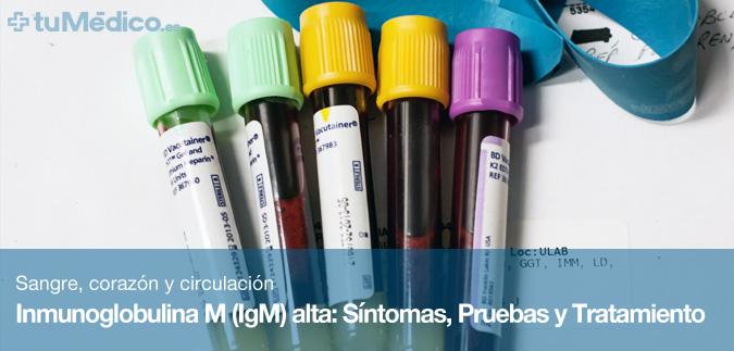 Inmunoglobulina M (IgM) alta: Sntomas, Pruebas y Tratamiento