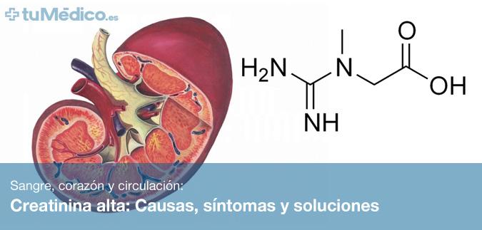Urea creatinina y los de niveles bajar como altos